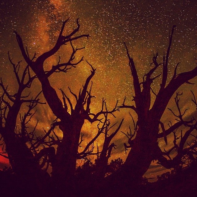 Nate có được những bức ảnh để đời sau chuyến đi. Bức ảnh bầu trời đầy sao bên ngoài Grand Staircase National Monument ở Utah.