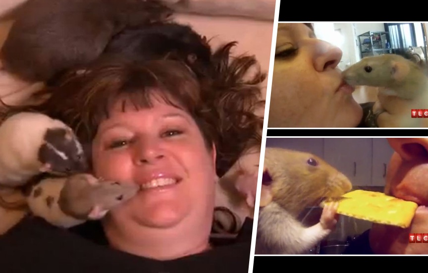 Thương yêu động vật hơn người: Người Mỹ đối xử với động vật như người. Thú cưng được đặt tên, mặc quần áo đẹp, được tặng quà sinh nhật, thậm chí được đưa đến các nhà hàng đặc biệt dành riêng cho động vật.