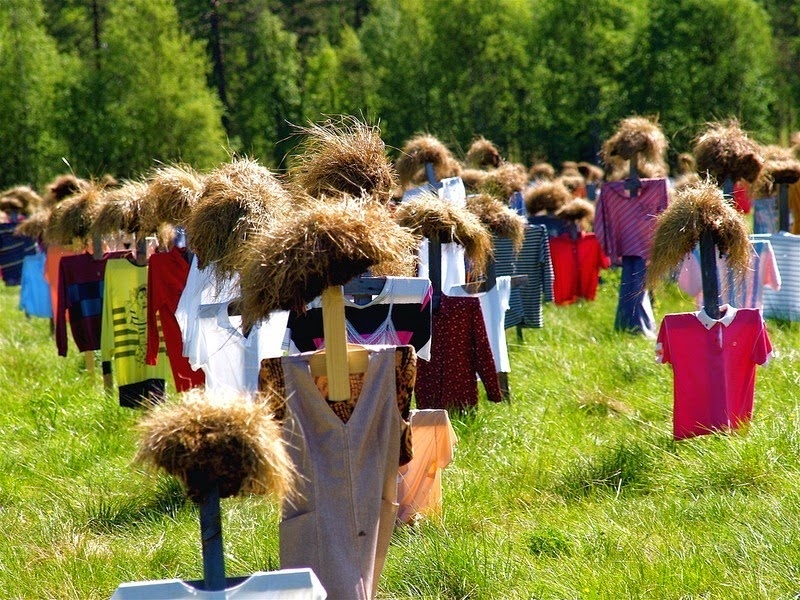 Canh dong bu nhin gay rung minh o Phan Lan hinh anh