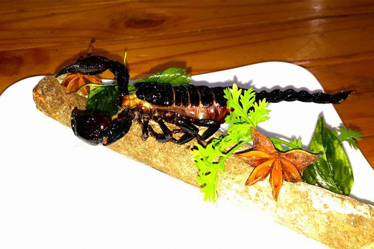 Tu nau mon la: bo cap chien gion, sot ruou mai que lo hinh anh