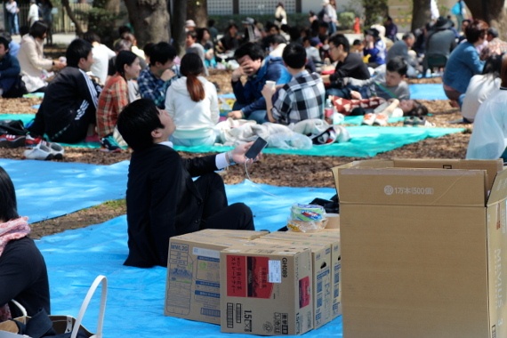 Giữ chỗ: Nơi ngắm anh đào nổi tiếng ở Nhật Bản là công viên Ueno và Shinjuku Gyoen. Các khu vực này đông đến nỗi người đến ngắm nhiều hơn cả hoa. Nếu bạn muốn thưởng hoa như người bản địa thì nên can đảm. Người Nhật rất thích các hoạt động nhóm. Đối với họ, đó là cảm giác hạnh phúc khi thuộc về những đám đông như thế, không ai tỏ ra vội vã cả. Ai cũng thích ngồi ngay dưới gốc cây, nhưng vào giữa giờ chiều thì việc này rất khó thực hiện. Các công ty lớn nhỏ thường cho một nhân viên cấp thấp đến xí chỗ trước rồi đồng nghiệp kéo đến sau. Bạn có thể dễ nhận ra người này trong bộ vest, tháo giày, ngồi trên thảm cắm cúi vào điện thoại giải khuây trong lúc giữ chỗ. 