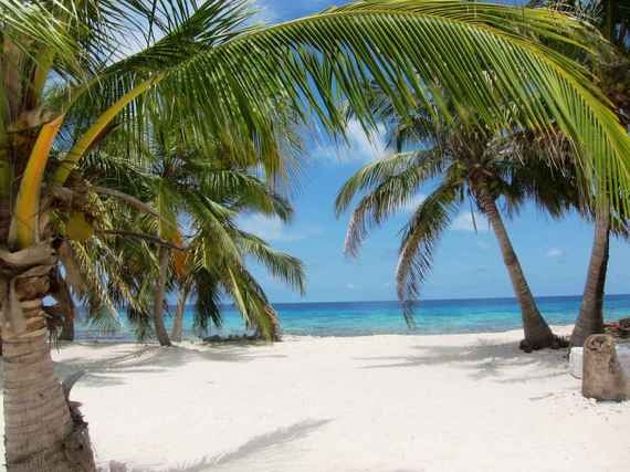 Laughing Bird Caye, Belize: Hòn đảo công viên quốc gia này cũng là nơi lý tưởng để lặn biển, bởi nơi đây có những rặng san hô và hệ sinh thái biển tuyệt đẹp.