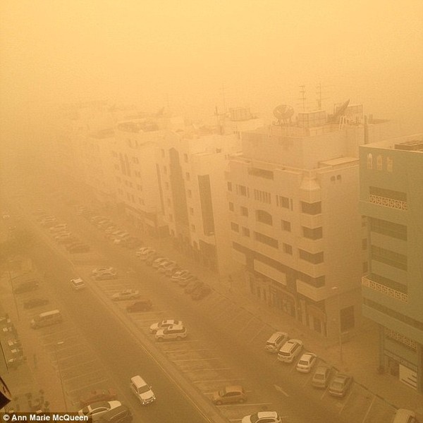 Một thanh niên 24 tuổi phải nhập viện ở Abu Dhabi sau khi bị tai nạn giao thông nghiêm trọng do tầm nhìn hạn chế khi lái xe.