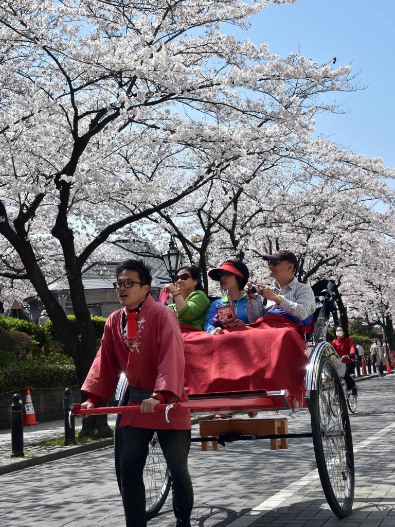 Một số du khách thích thú ngắm hoa trên những chiếc xe kéo.