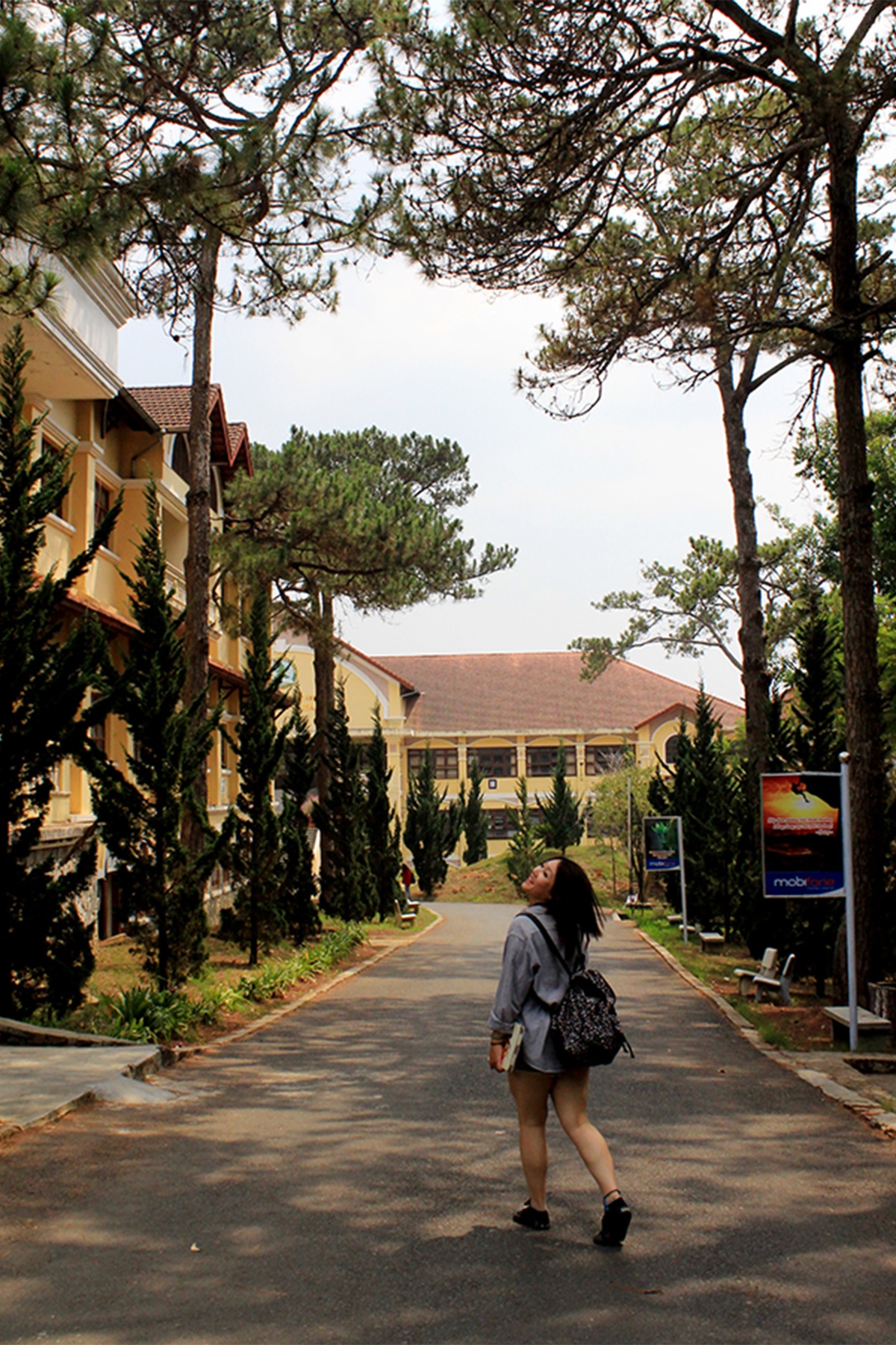 Hiện trường đang đào tạo gần 3000 sinh viên ở 19 chuyên ngành. Ngoài các khối lớp học, giảng đường, cụm văn phòng… trường còn có 1 căn tin, thư viện và kí túc xá lớn để sinh viên lưu trú. Với những dãy nhà cao tầng mang âm hưởng kiến trúc cổ Tây phương, những lối đi rợp bóng thông xanh, hoa lá… ngôi trường trên cao nguyên này thực sự khiến bạn phải lạc lối.