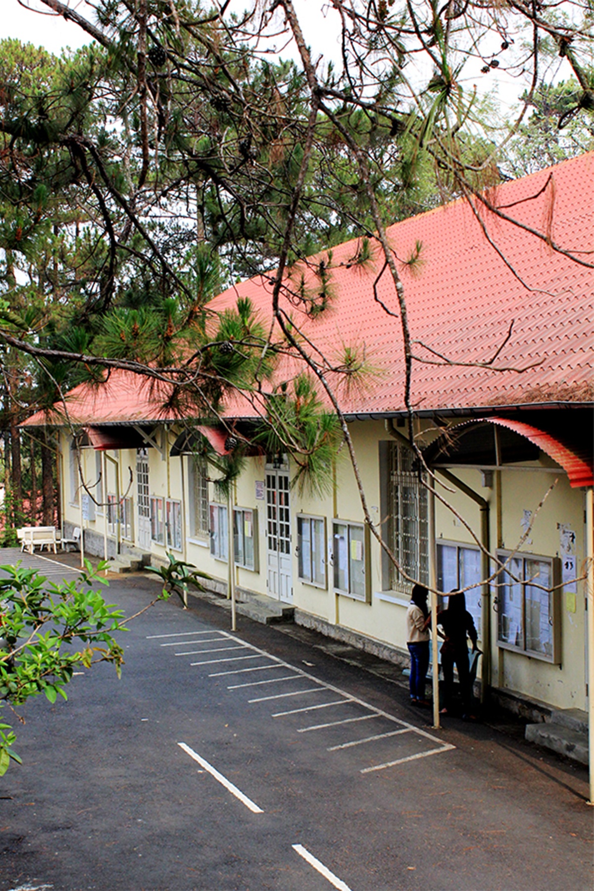 Điểm ấn tượng nhất của Đại học Đà Lạt (số 1 đường Phù Đổng Thiên Vương) có lẽ là không gian lớn rộng, trải dài trên đồi thông thơ mộng, phong cảnh được xếp vào loại đẹp nhất Đông Nam Á.