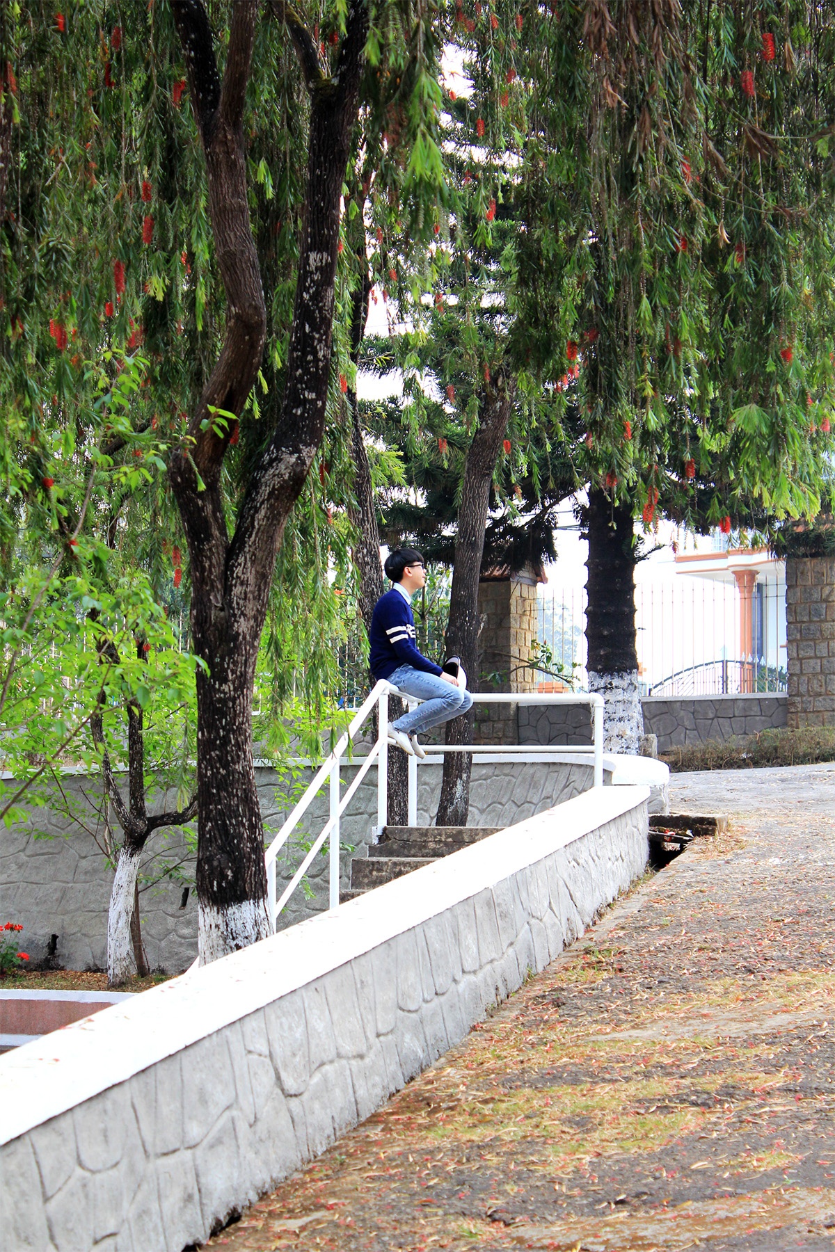 Khung cảnh ở đây cũng rất đẹp, bình yên.