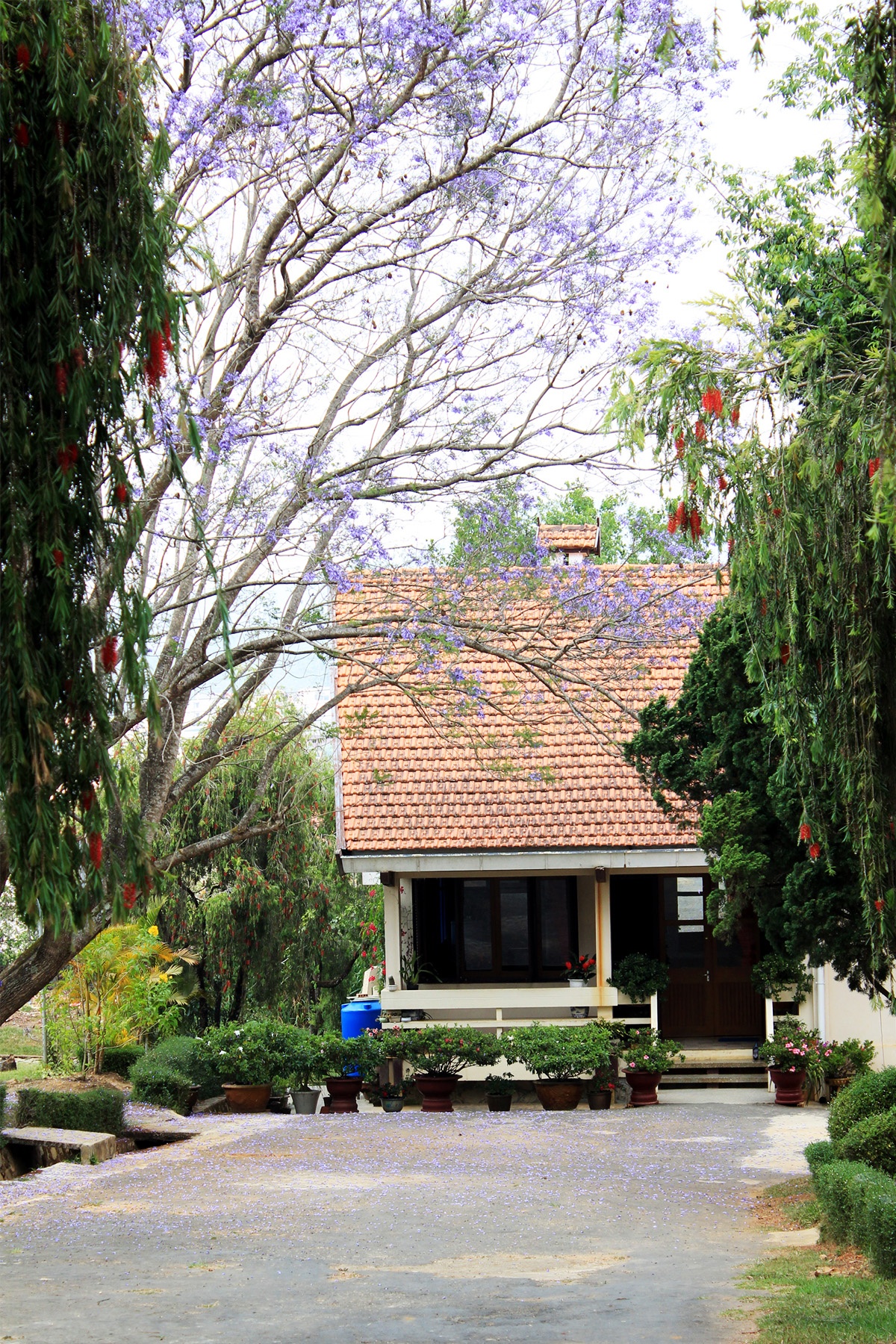 Ngoài Hermann Gmeiner, bạn cũng có thể ghé đến Làng trẻ em SOS kế bên, nơi sinh sống của các bạn nhỏ có hoàn cảnh khó khăn. Ở đây các em được sống trong một gia đình, được nuôi nấng, chăm sóc và giáo dục chu đáo bởi một bà mẹ đơn thân. Khi đủ tuổi, các em sẽ được đi học theo chương trình phổ thông tại trường Hermann Gmeiner, sau đó được định hướng học tiếp để có một nghề ổn định, đến khi có thể sống tự lập. 