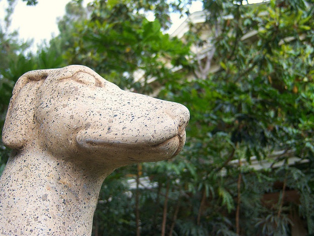 Phía sau biệt thự ma ám có một nghĩa trang dành cho động vật.