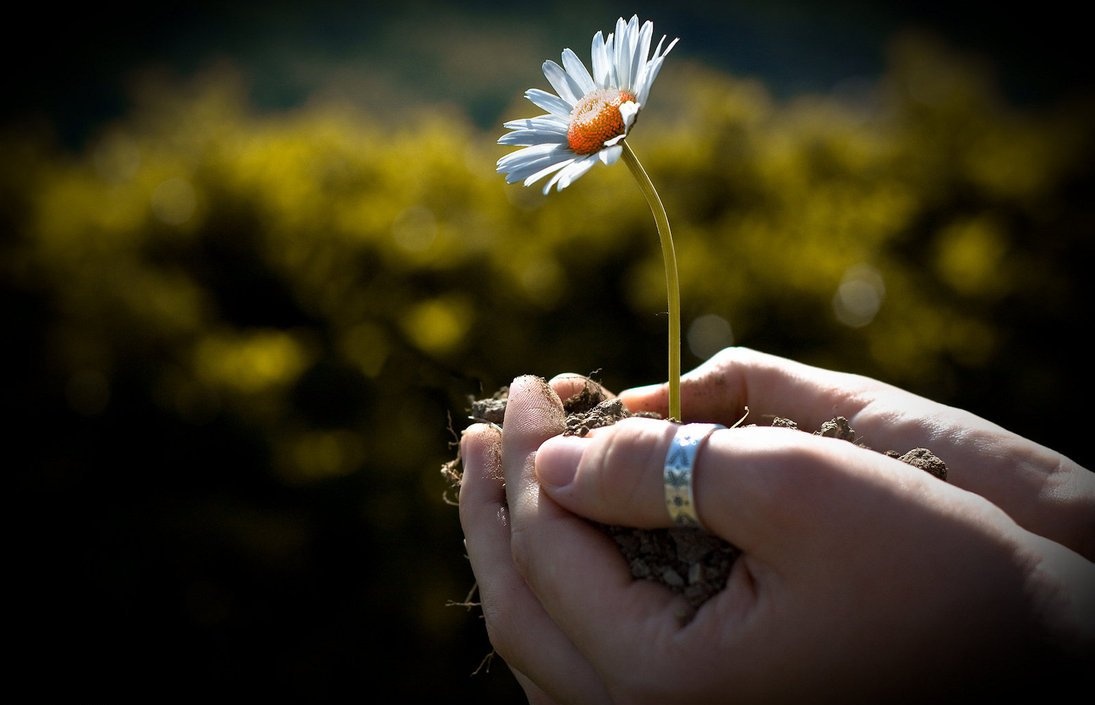 Thu bay cua ban (9/5) hinh anh