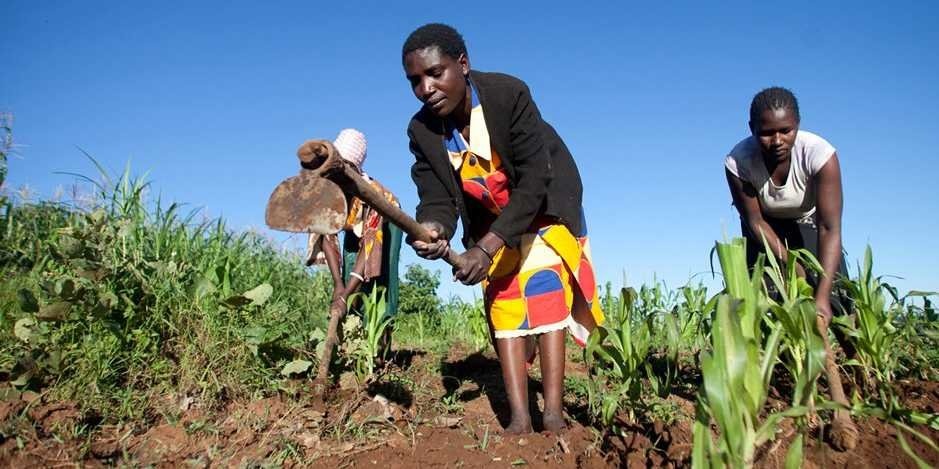 Kenya: Hầu hết người dân Kenya đều theo một tôn giáo nào đó, trong đó 80% là người công giáo. Bởi vậy, bạn không nên lấy làm ngạc nhiên nếu họ hỏi về tôn giáo của bạn, và cũng nên tôn trọng tôn giáo của họ. Đến Kenya, bạn nên kiên nhẫn, vì mọi người thường không đúng giờ. Bạn cũng đừng gọi bất kỳ ai bằng tên, mà nên gọi bằng họ, hoặc kèm theo Miss, Mrs, Mr… Nếu không biết tên, bạn có thể gọi họ là madam nếu là nữ và sir nếu là nam.