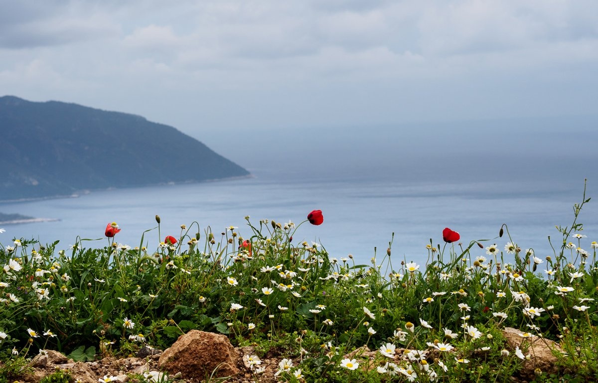 Những con đường La Mã trải đầy đá, những đường mòn đầy hoa dại trải dài 540 km tạo thành vùng Lycian Way tuyệt đẹp ở miền duyên hải phía nam Thổ Nhĩ Kỳ.