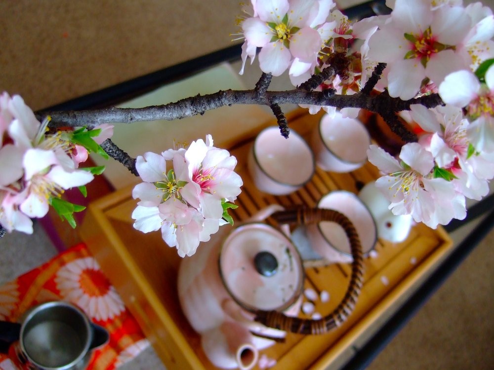 Chu nhat cua ban (24/5) hinh anh