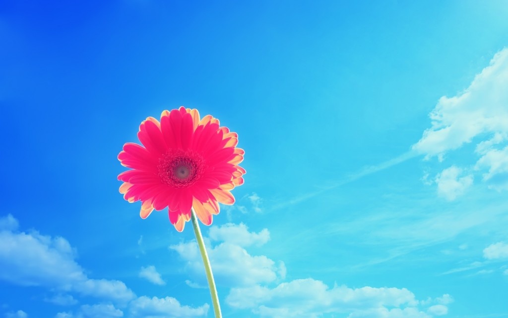 Thu hai cua ban (25/5) hinh anh