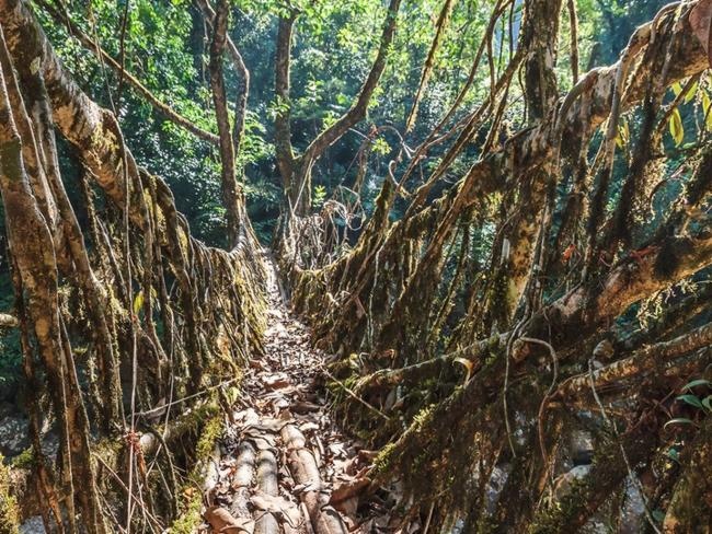 2. Cherrapunji, Ấn Độ: Cherrapunji nổi tiếng với những cơn mưa liên tiếp. Ở đây hầu như ngày nào cũng mưa, lượng mưa lên tới 11.777 mm/năm. Ảnh: hitfull.