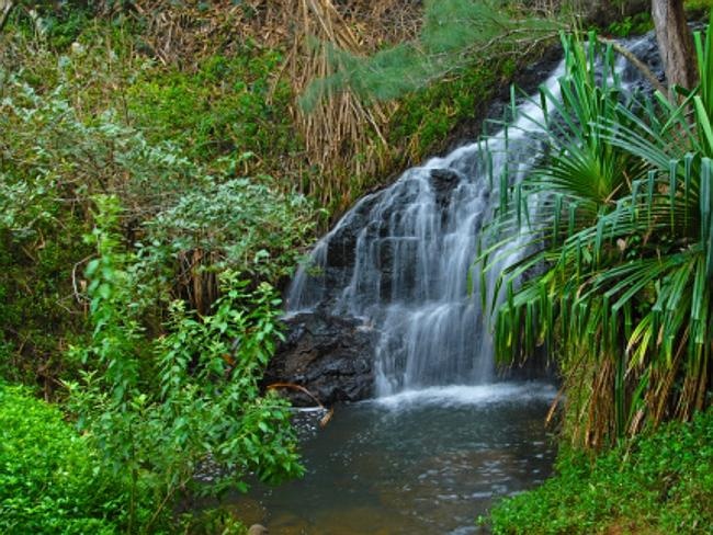 7. Big Bog, Oceania: Là một vùng đất hẻo lánh ở Hawaii, Big Boss có lượng mưa mỗi năm 10.272 mm. Để đến được đây cần phải bay bằng trực thăng, hoặc cuốc bộ mất 2 ngày. Tuy nhiên, Big Boss lại là một trong những địa điểm du lịch nổi tiếng nhất nhờ cảnh đẹp say lòng người.