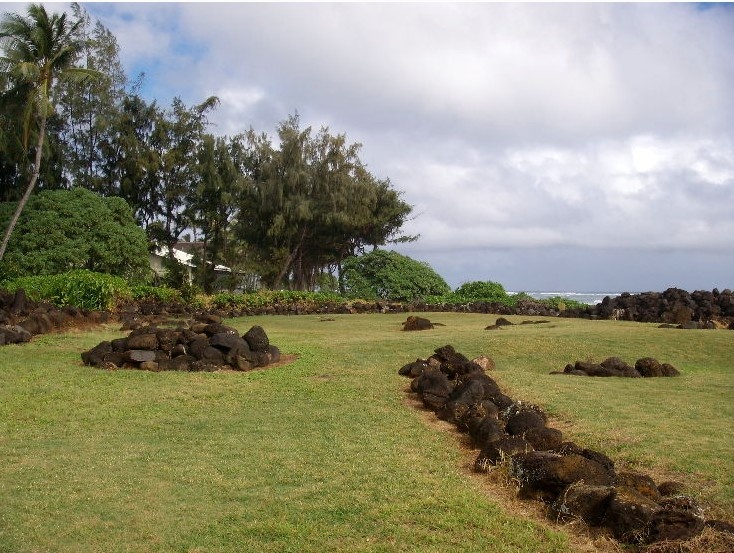 9. Kukui, Oceania: Lượng mưa ở Kukui được ghi lại ở con số 9.293 mỗi năm. Ở đây có một ngọn núi cao 1.763 m so với mực nước biển với rất nhiều loài cây đẹp. Đây cũng được coi là một trong những phong cảnh tự nhiên đẹp nhất thế giới bởi rất nhiều loài hoa khoe sắc. Ảnh: Hellotravel.