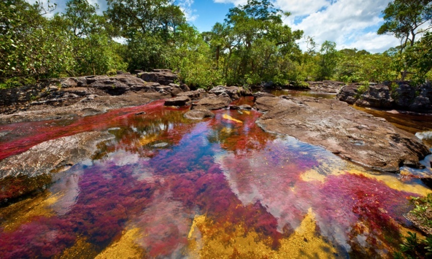 Sông cầu vồng Caño Cristales, Serranía de la Macarena, Colombia: Dòng sông đặc biệt do có nhiều màu sắc như một chiếc cầu vồng. Vào thời gian từ tháng 9 - 11 là thời điểm rực rỡ nhất khi một loại cây mọc dưới lòng sông có tên macarenia màu xanh lá chuyển sang màu đỏ tươi, cam vàng và nâu sậm, nổi bật lên trên nền vàng của cát dưới lòng sông, màu xanh của rêu tạo thành một bản hợp sắc sống động.