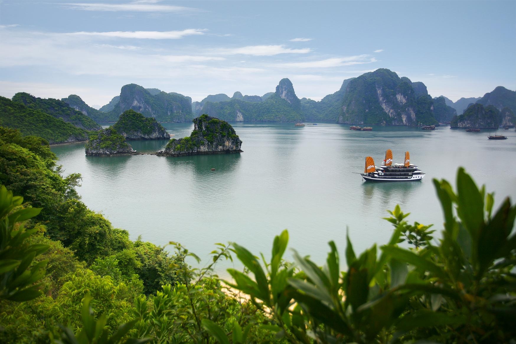 Nhung dia danh Viet moi duoc bao Tay vinh danh hinh anh