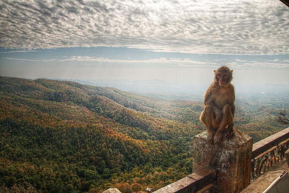 4. Nơi lý tưởng để leo núi: Trekking ở Myanmar vẫn còn là điều mới mẻ, nhưng nhiều hãng du lịch đã bắt đầu thực hiện những tour này. Hầu hết các du khách đều chọn tour 2 ngày quanh những ngôi làng ở hồ Inle. Những người ưa thám hiểm thì chọn cao nguyên Shan, hoặc đi về phía nam tới Hp-Pan. Ở đây bạn có thể bắt gặp những khu rừng trên những đỉnh núi đá vôi, lấp ló đây đó những tu viện nho nhỏ. Bạn sẽ bắt gặp những con cua đầy màu sắc, leo qua những khu rừng đầy sương mù, gặp những nhà sư không biết nói tiếng Anh, nhưng luôn tươi cười thân thiện. 