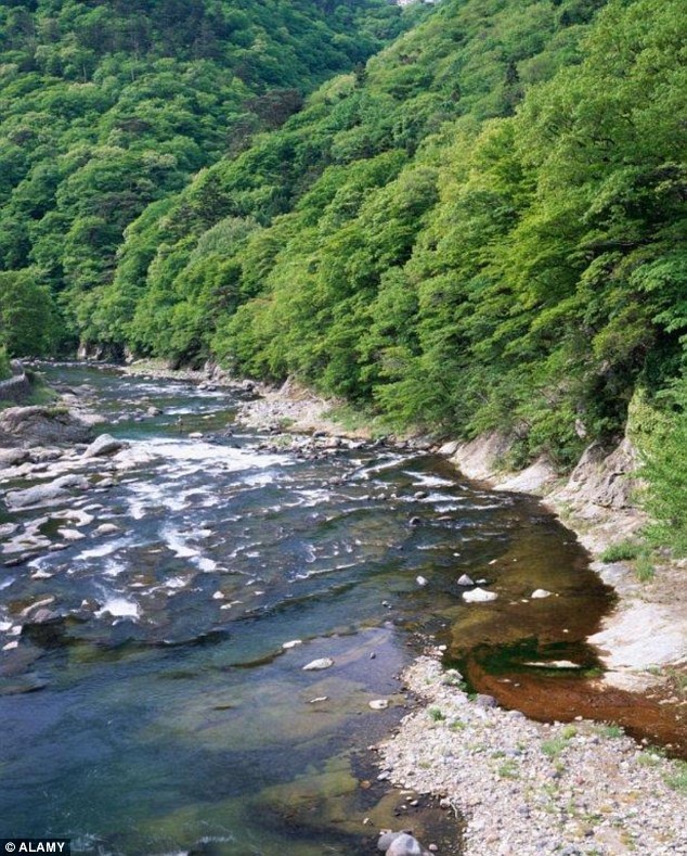 suối nước nóng Fudo no Yu