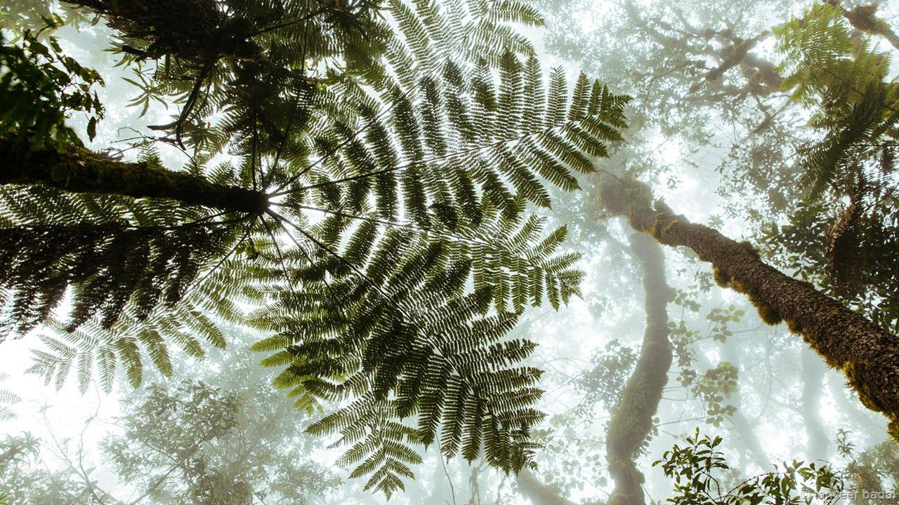 Cảnh tượng lạnh lẽo ở Kilimanjaro giờ đây là lý do chính để chinh phục ngọn núi. Ở tuyến đường Macheme, một trong 7 tuyến đường lên đỉnh Kili nổi tiếng với nhiều tầng khí hậu, từ khu rừng nhiệt đới tươi tốt ở chân núi đến vùng đất hoang thưa thớt ở giữa và hoang mạc trên cao.