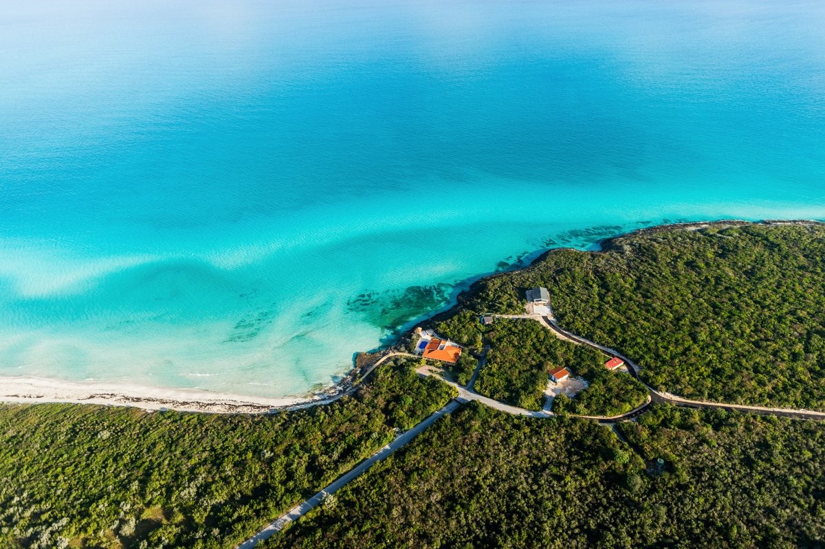 Một tấm ảnh xanh ngắt 