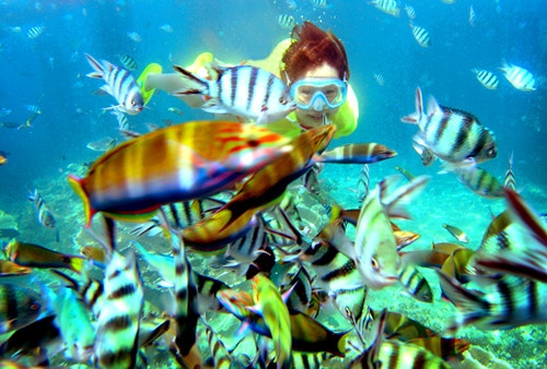 Với những du khách yêu thích bơi lặn, Sai Kung sẽ cho bạn những cảm giác tuyệt diệu. Bởi việc bảo tồn sinh vật biển nơi đây rất tốt nên khi bạn lặn sâu dưới biển, bạn sẽ có cơ hội ngắm nhìn hàng trăm loại cá và san hô khác nhau. Ảnh: Baike 