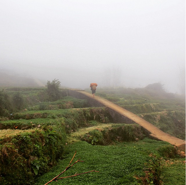 Sa Pa, miền tây bắc VIệt Nam là địa điểm yêu thích của tôi. Những buổi sáng đầy sương mù mát lạnh nhường chỗ cho những ngày nắng ráo tưng bừng. Tuyệt đẹp!