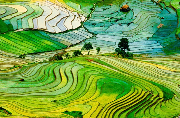 Nhiều cảnh đẹp.