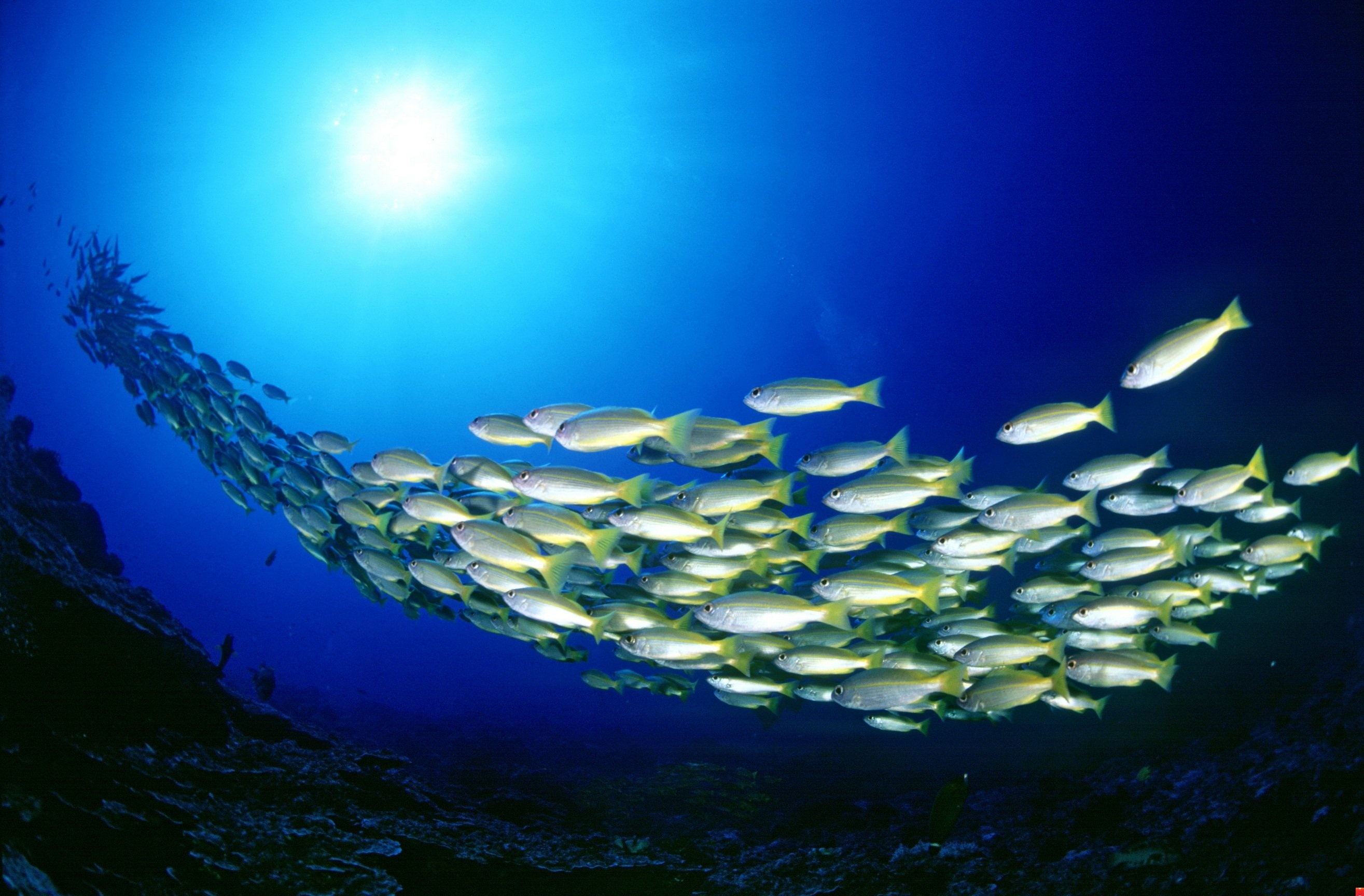 Bên cạnh đó, Phuket nổi tiếng với một số địa danh du lịch nổi tiếng như bãi biển Patong, bãi biển Kata, Karon, mũi Phromthep, Chùa Wat Chalong ... đều là những lựa chọn lý tưởng cho du khách trên thế giới khi đến với Thái Lan. Ảnh: happyholidays4u