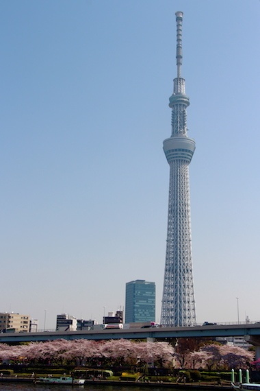 SkyTree nhìn từ sông Sumida.