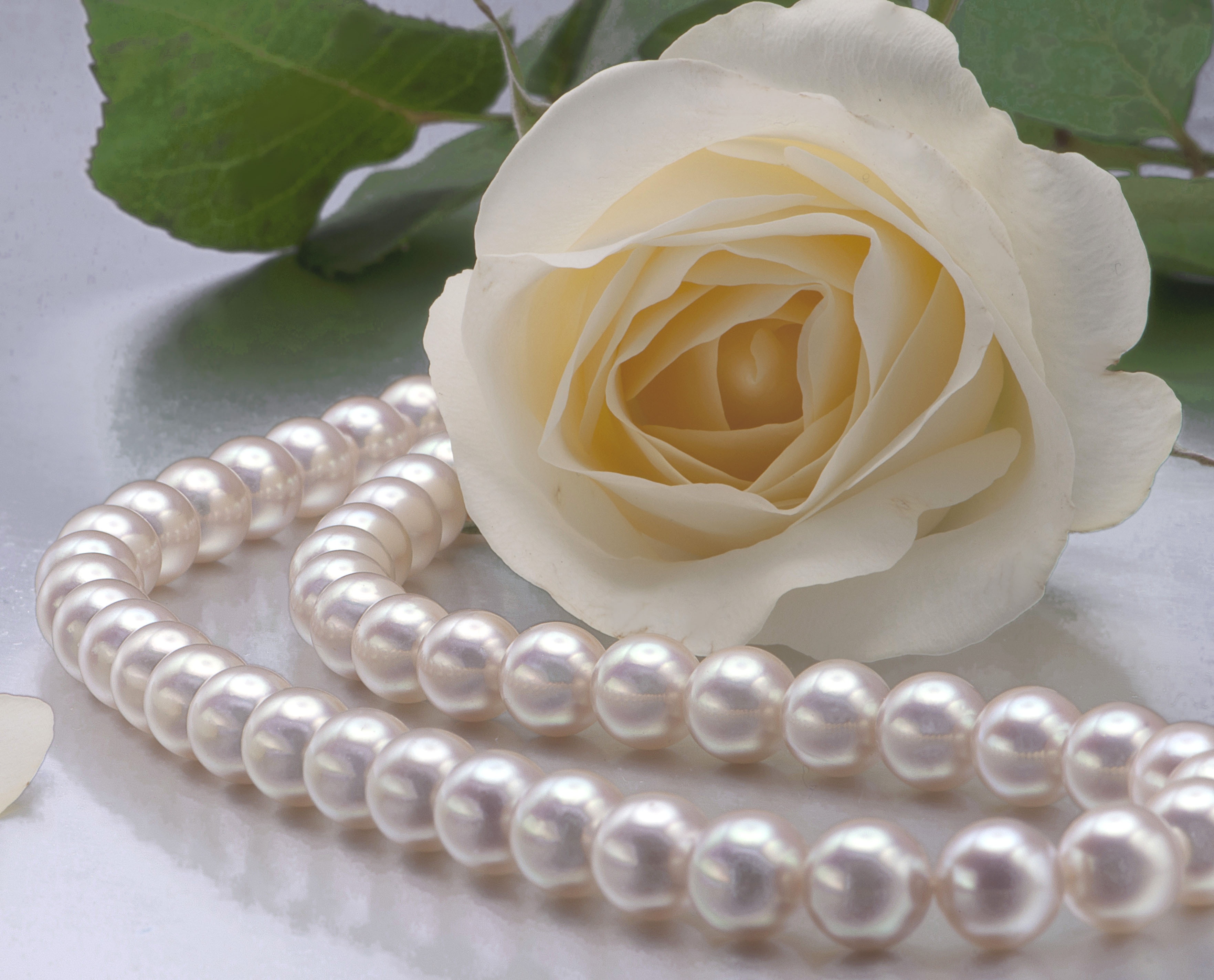 Cac loai da mang lai may man cho Cu Giai hinh anh