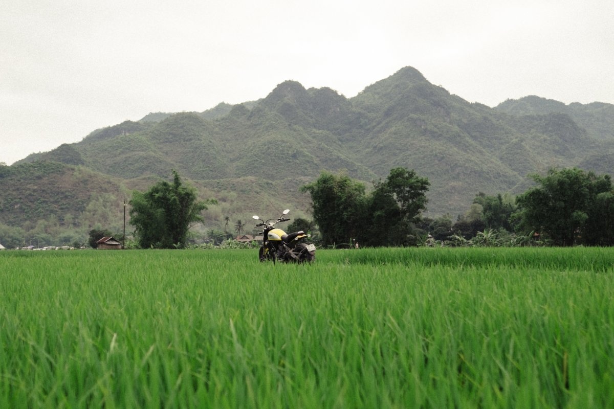 Phương tiện phượt của nhóm trên cánh đồng ở một ngôi làng Sa Pa. Khi mới hạ cánh đến TP HCM, nhóm được ở trong một khách sạn sang trọng. Sau đó, nơi ở trên hành trình khá giản dị nhưng luôn có điện và nước nóng.