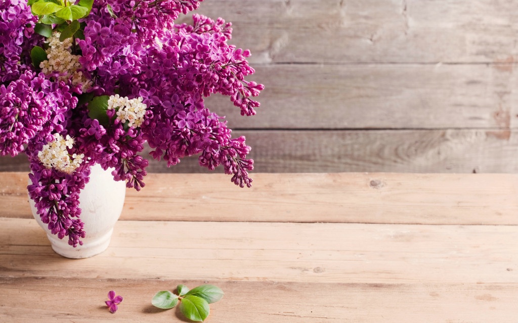 Chu nhat cua ban (21/6) hinh anh