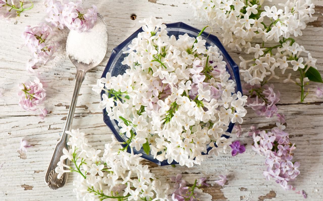 Doan van tuan moi (22-28/6) hinh anh