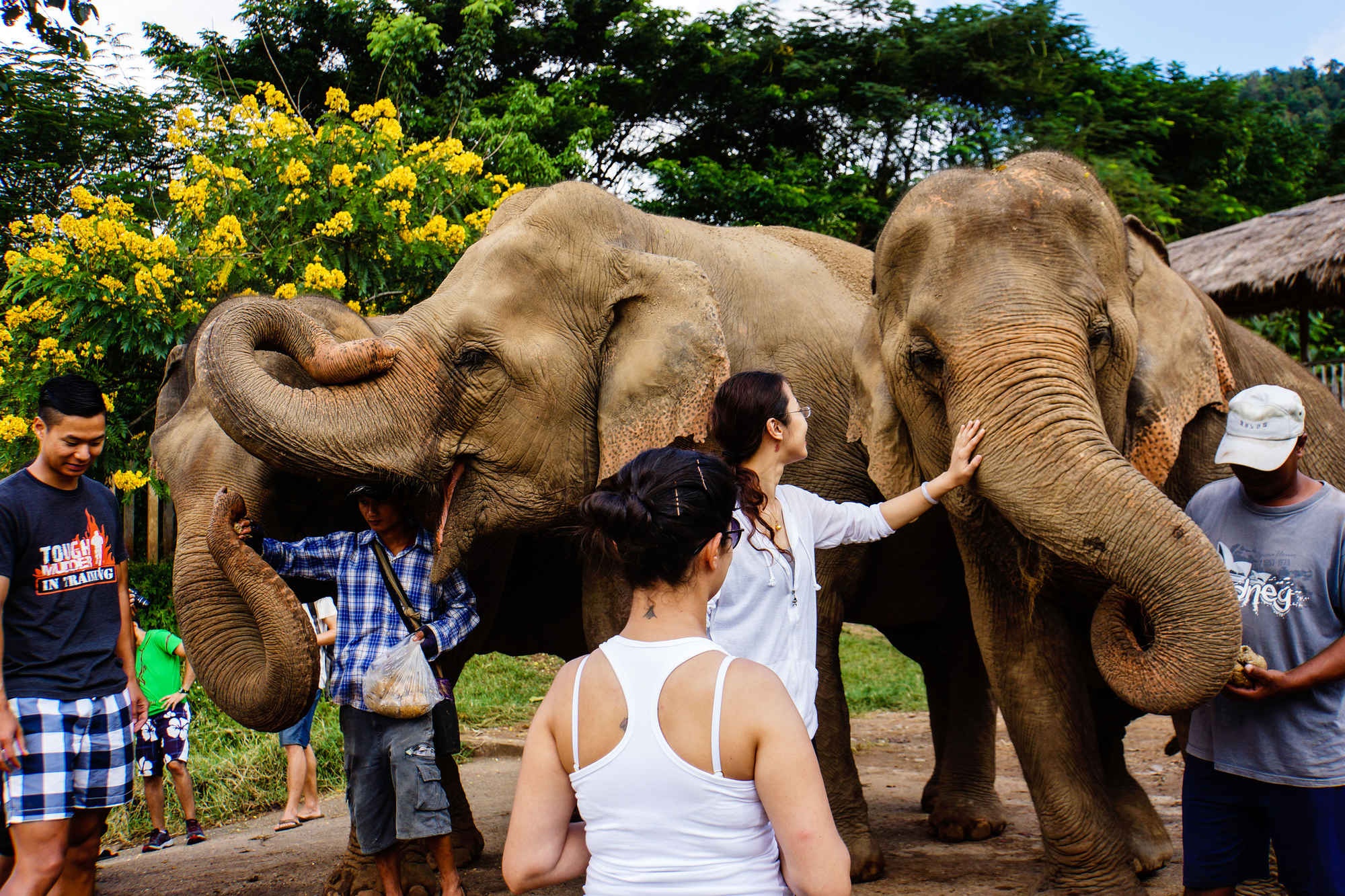 12 dieu nhat dinh phai lam khi den Thai Lan hinh anh
