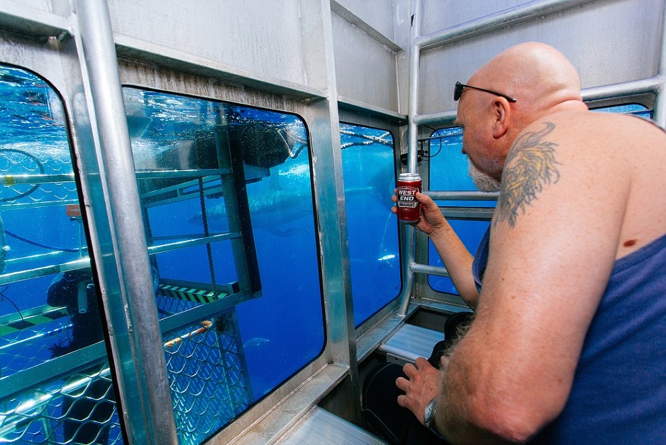 Du khách chỉ cần chuẩn bị một máy ảnh, vài món đồ ăn thức uống là có thể thư giãn ngắm cá mập trong lồng kính.