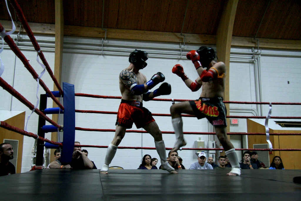 Xem boxing kiểu Thái: Muay Thai là môn thể thao truyền thống ở Thái Lan. Bạn có thể đến sân vận động Ratchadamnoen để xem trực tiếp hoặc đến Thái Lan vào tháng 3 để tham dự nghi lễ Wai Kru Muay Thai thế giới ở công viên lịch sử Ayutthaya với 1.000 đấu sĩ đến từ 65 nước trên thế giới.