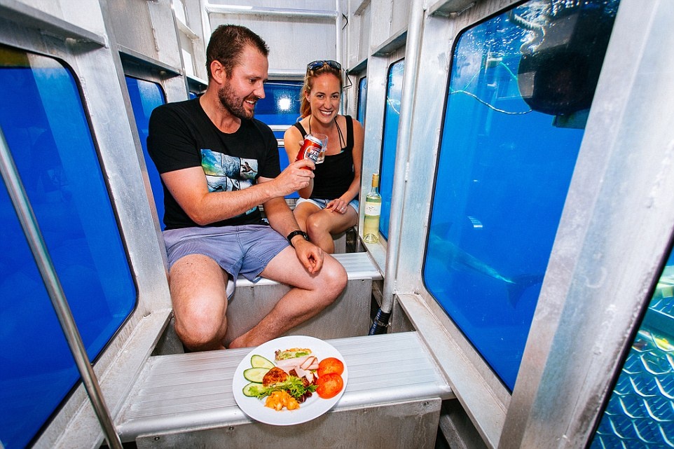 Mỗi lồng kính có sức chứa tới 6 du khách. 