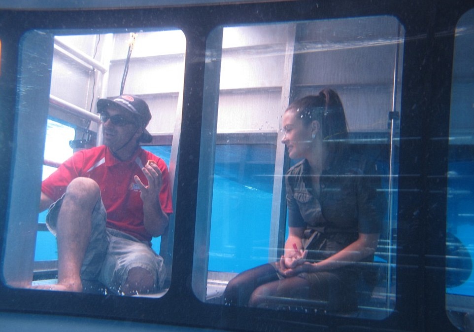 Cá mập và du khách chỉ cách nhau một tấm kính dày, đây là một trải nghiệm không nên dành cho những người yếu tim.