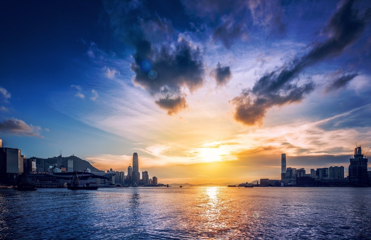 Zack Starikov; Brooklyn, New York 