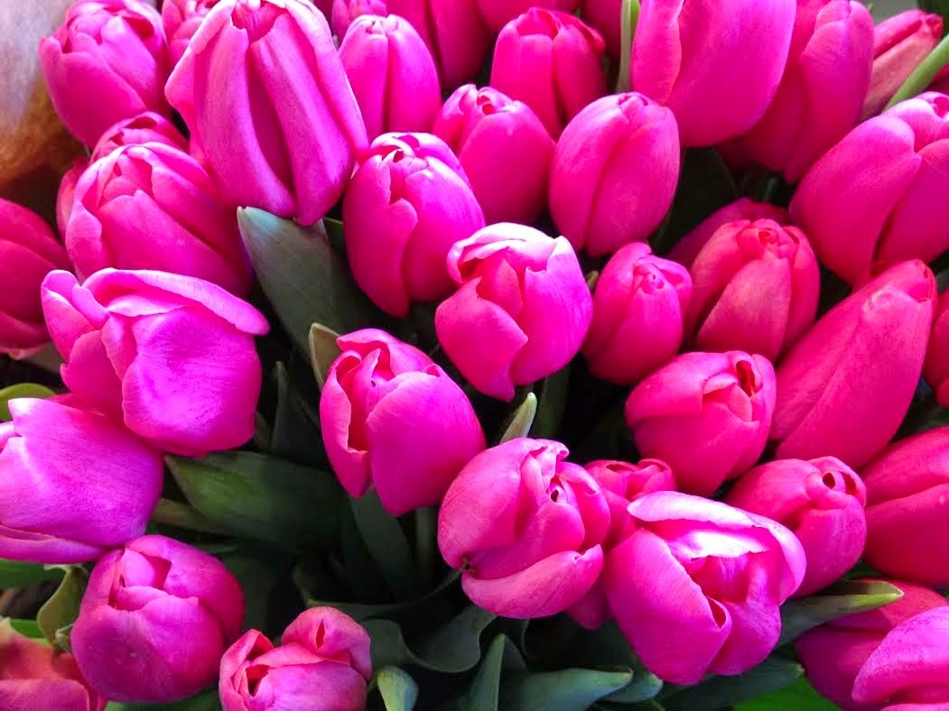 Van may ngay chu nhat (5/7) hinh anh