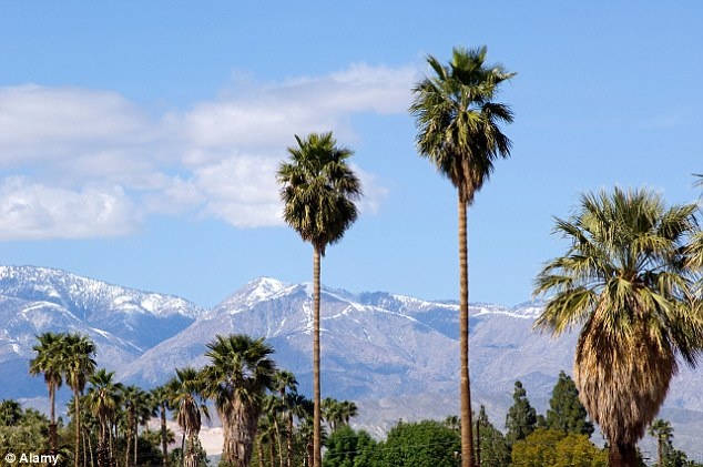 Còn được biết với tên gọi Hollywood’s Playground (sân chơi của Hollywood), Palm Springs chỉ cách trung tâm giải trí của thế giới 2 giờ đồng hồ. Các huyền thoại như Dean Martin và Frank Sinatra từng mua nhà ở đây để nghỉ dưỡng.