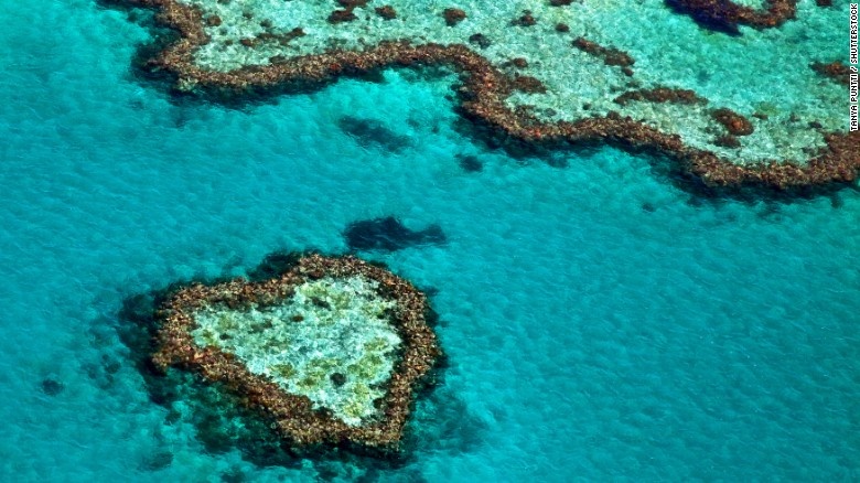 Rặng san hô Great Barrier Reef: Rặng san hô lớn nhất thế giới này là ngôi nhà của rất nhiều các loài sinh vật biển. Các nhà khoa học cho rằng nơi này sẽ biến mất năm 2050 do biến đổi khí hậu. Đây vừa là thảm họa môi trường, vừa là tin buồn cho ngành công nghiệp du lịch tỷ đô mà rặng san hô mang lại cho nền kinh tế địa phương.