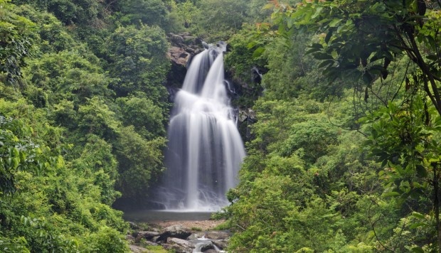 Hong Kong có nhiều thác nước đẹp, mặc dù không nhiều du khách biết đến điều này. Những thác nước ngoạn mục chảy ra từ các khe núi khiến du khách quên mất mình đang ở Hong Kong. Ảnh: scmp.