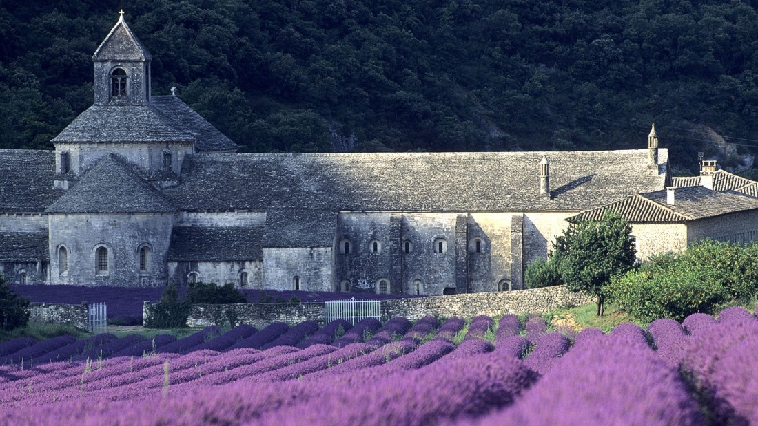 2. Provence: Vào mùa hè, người dân khắp nước Pháp và du khách thế giới thường đổ về những cánh đồng hoa oải hương tím ngắt ở Provence để thưởng ngoạn. Khắp nơi tràn ngập màu tím và mùi hương dịu dàng của oải hương.