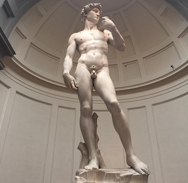 Bức tượng David của Michelangelo tại Accademia Gallery, Florence, Italy có đặt biển báo cấm chụp ảnh.