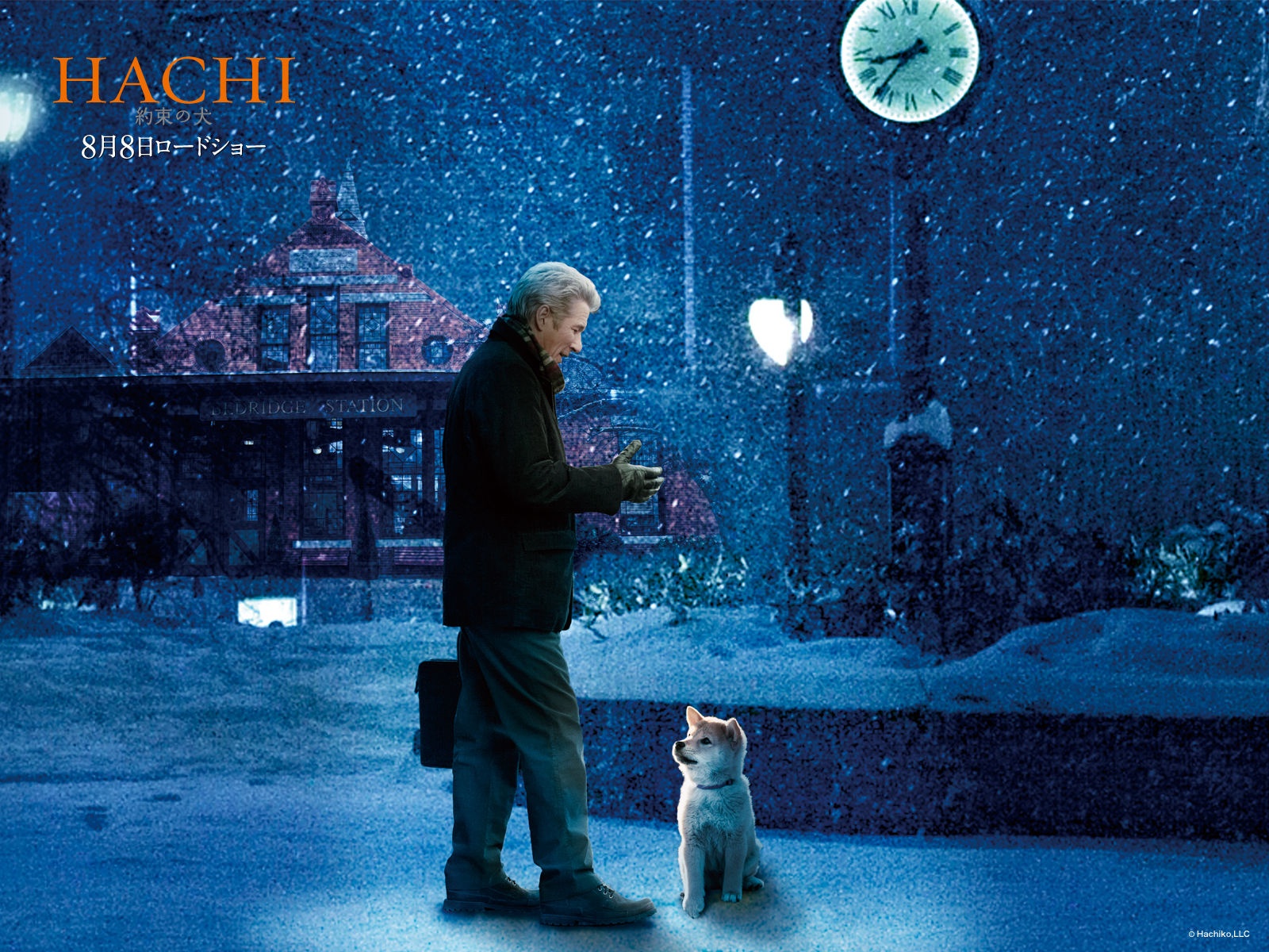 Câu chuyện về Hachiko được Hollywood dựng thành bộ phim Hachi: A Dog’s Tale với sự diễn xuất của Richard Gere trong vai giáo sư Hidesaburo Ueno. 