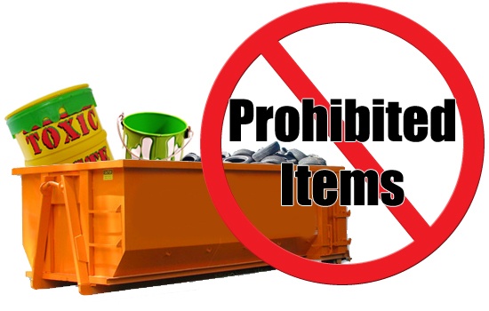 Nhung vat dung bi cam nhap khau vao cac nuoc hinh anh